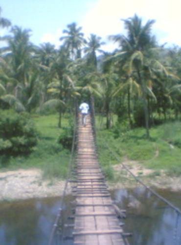 Denz Paradise